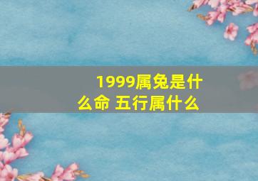 1999属兔是什么命 五行属什么